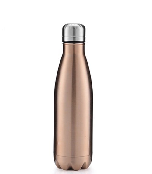 17oz Stainless Steel Water Bottle